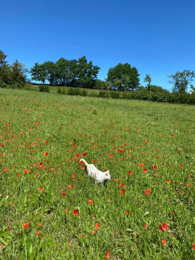 La Vignerie Bed & Breakfast Boisse  ภายนอก รูปภาพ